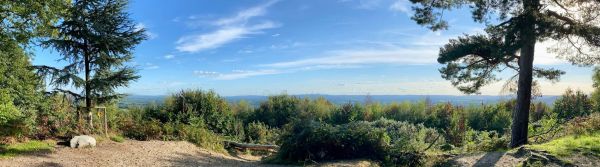 Reynards Hill